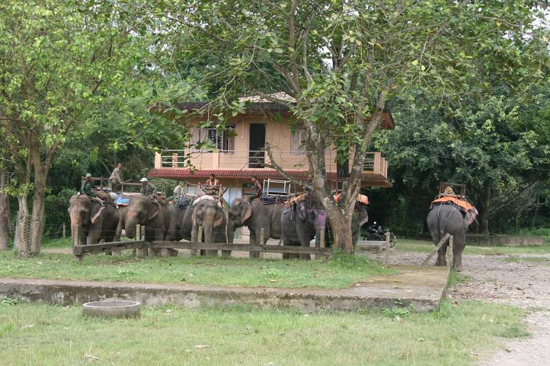 India & Nepal 2011 - 0535